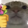 cat_flowers_c Discord Emoji