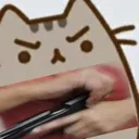 cat_gun