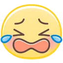 dd_cryin