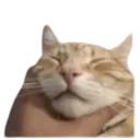 chokemedaddy