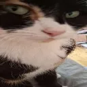 soysauceyummers