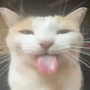 silly