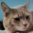 kittythinking