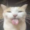 SILLY
