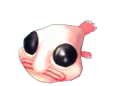 bobPlus