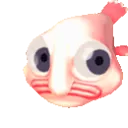 bobSip