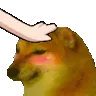 832278803526582312