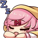 nat_zzz