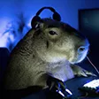 CAPIGAMER