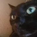 bruh