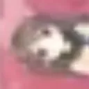 noeru