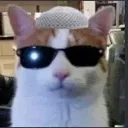 halalcat_IC Discord Emoji