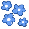 b_flowers