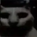 uncannycat