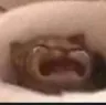 waaa