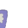 3_