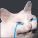 CatCry