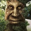 thewisetree