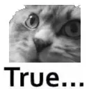 GatoTrue