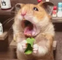 A_mouse_5