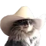 Meowdy meowdy Discord Emoji