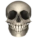 scoliosis