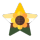 sunflowergender sunflowergender