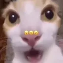 noeffingway