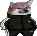 Doggin