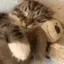 Hug