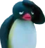 pingu_pain