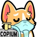 COPIUM COPIUM