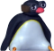 pingu_cool Discord emoji