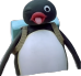 pingu_school Discord emoji