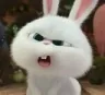 Kissehuh Kissehuh