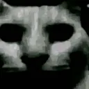 uncannycat