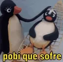 pobi