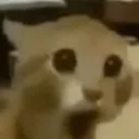 huh