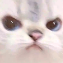 catangy