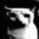 doomergato