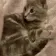 m_cat_tuck_sleep m_cat_tuck_sleep