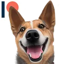 BOwOen