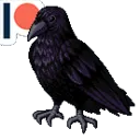 Karga