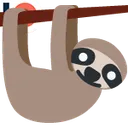 slothservices
