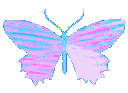 :butterfly_blue: