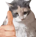 thumbaup