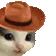 meowdy