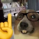 nerdoge Discord Emoji