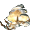deepstarani