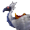 ivoryhawkani